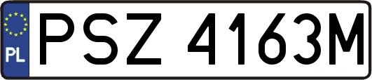 PSZ4163M
