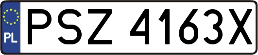 PSZ4163X
