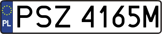 PSZ4165M