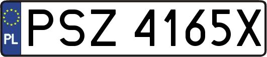 PSZ4165X