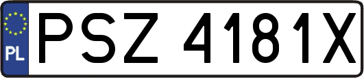 PSZ4181X