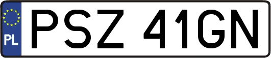 PSZ41GN