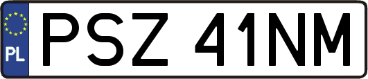 PSZ41NM