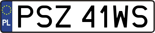 PSZ41WS