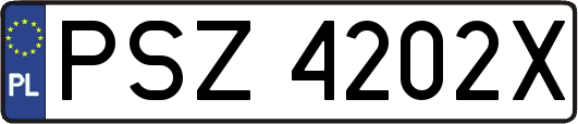 PSZ4202X