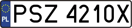 PSZ4210X