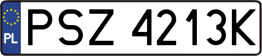 PSZ4213K