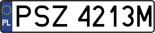 PSZ4213M