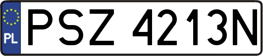 PSZ4213N