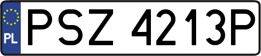 PSZ4213P