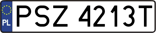 PSZ4213T