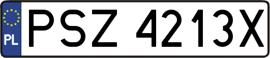 PSZ4213X
