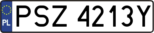 PSZ4213Y
