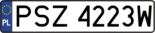 PSZ4223W