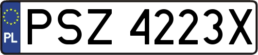 PSZ4223X