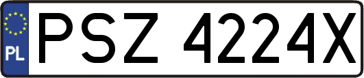 PSZ4224X