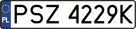 PSZ4229K