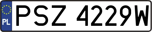 PSZ4229W