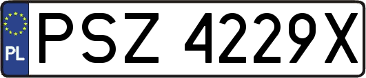 PSZ4229X