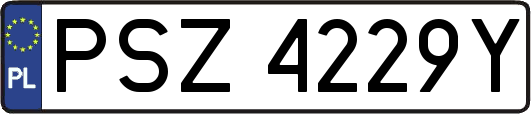 PSZ4229Y