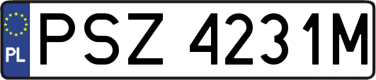 PSZ4231M