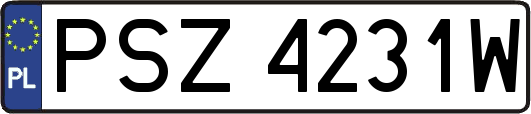 PSZ4231W