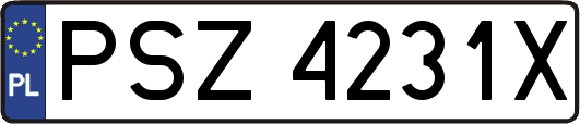 PSZ4231X