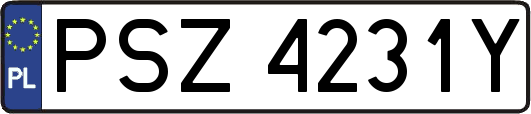 PSZ4231Y