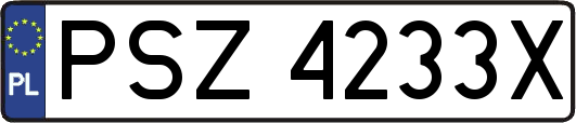 PSZ4233X