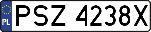 PSZ4238X