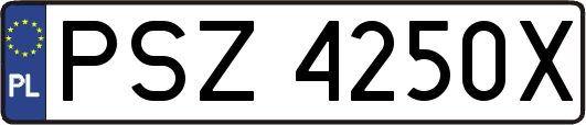 PSZ4250X