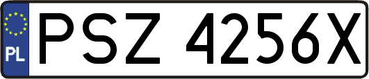 PSZ4256X