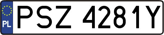 PSZ4281Y