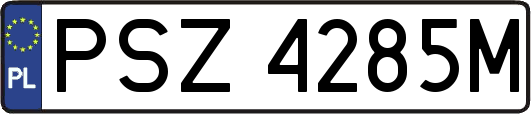 PSZ4285M