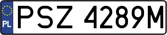 PSZ4289M