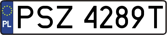 PSZ4289T