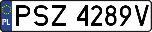 PSZ4289V