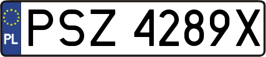 PSZ4289X