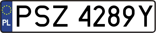 PSZ4289Y