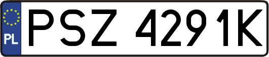 PSZ4291K