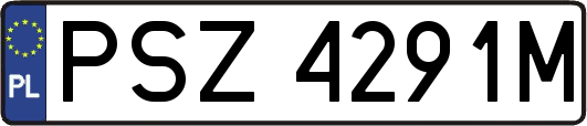 PSZ4291M