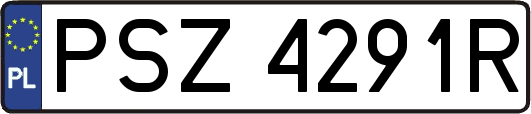 PSZ4291R