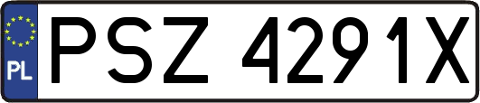 PSZ4291X