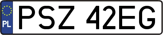 PSZ42EG