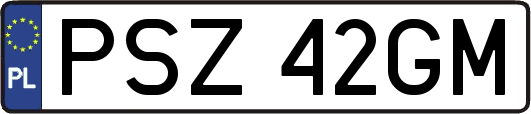 PSZ42GM