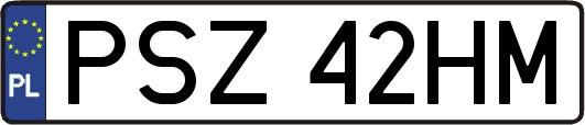 PSZ42HM