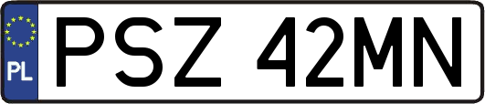 PSZ42MN