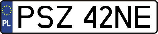 PSZ42NE