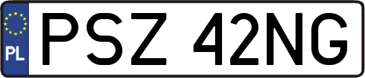 PSZ42NG
