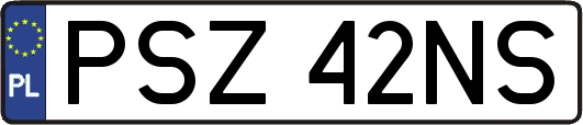 PSZ42NS